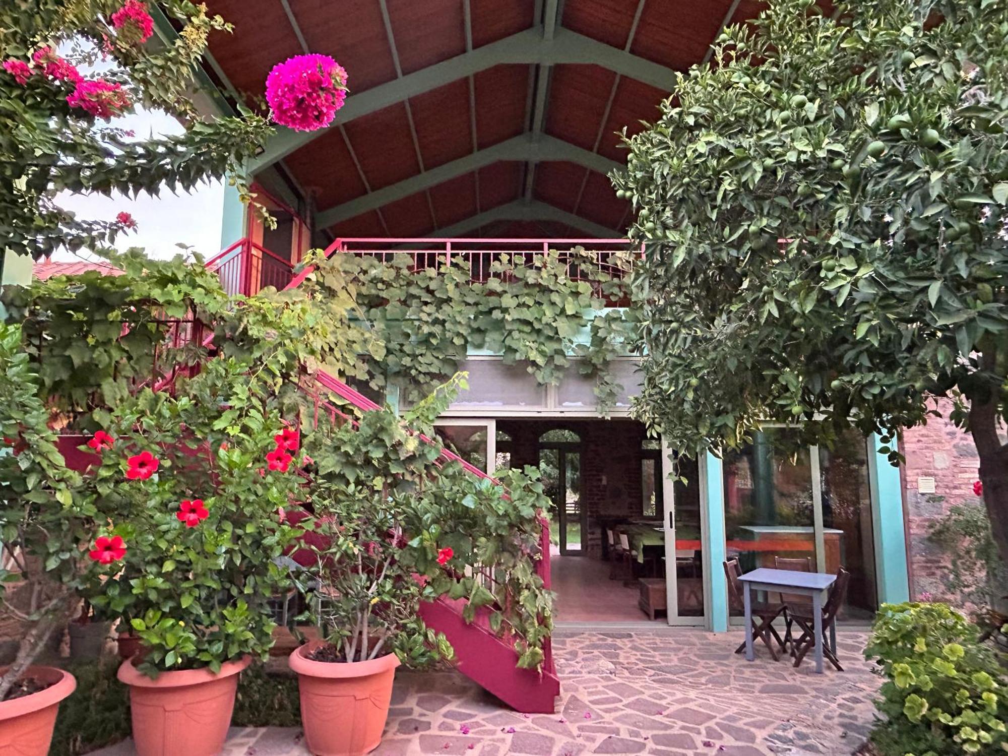 Villa Daphnis & Chloe Pyrgi Thermis 外观 照片